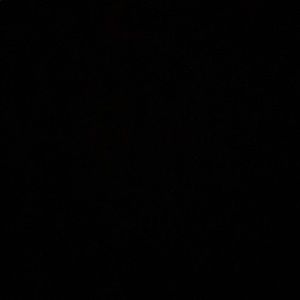 Meet your Posher, Daniella